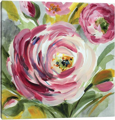 Ranunculus Rosa I Canvas Art Print - Ranunculus Art