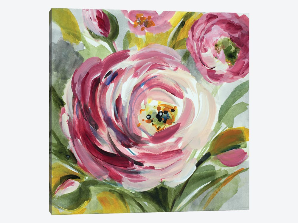 Ranunculus Rosa I by Lanie Loreth 1-piece Canvas Art Print