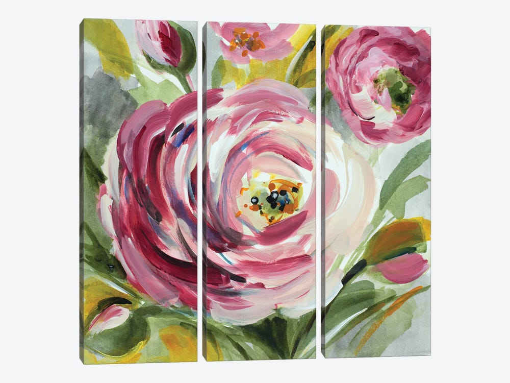 Ranunculus Rosa I by Lanie Loreth 3-piece Canvas Art Print