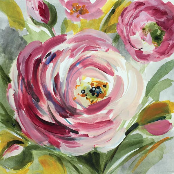 Ranunculi: Ranunculus Rosa I by Lanie Loreth