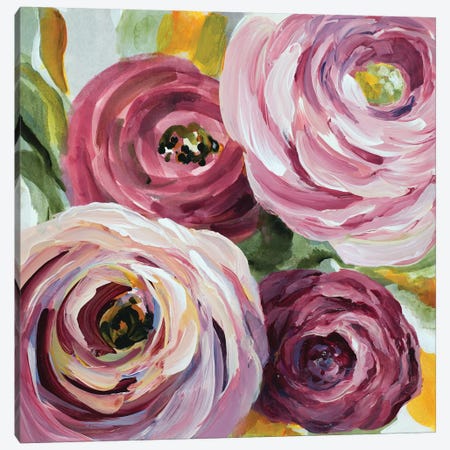 Ranunculus Rosa II Canvas Print #LNL158} by Lanie Loreth Canvas Art Print