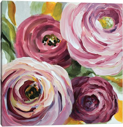 Ranunculus Rosa II Canvas Art Print - Ranunculus Art