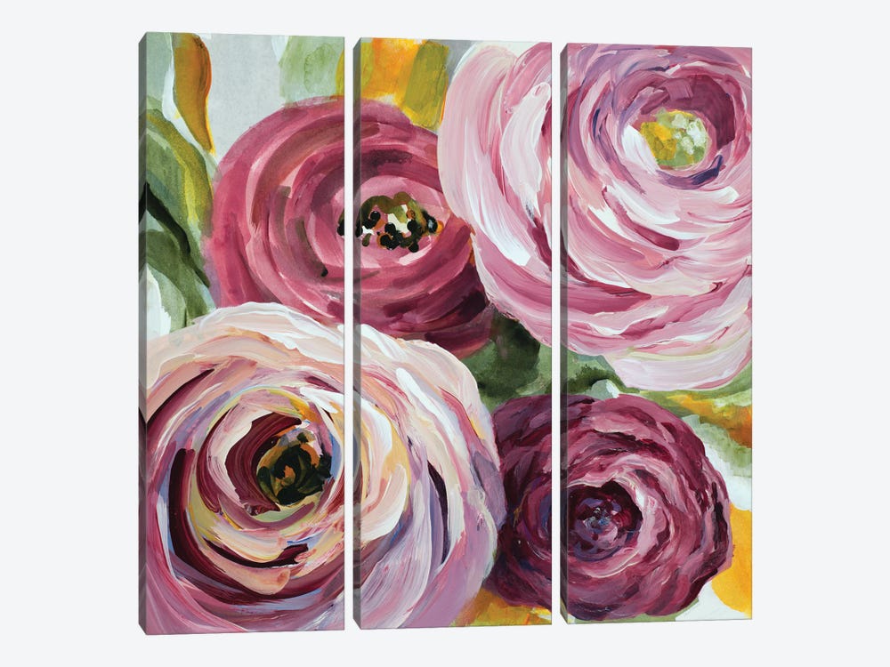 Ranunculus Rosa II by Lanie Loreth 3-piece Canvas Wall Art