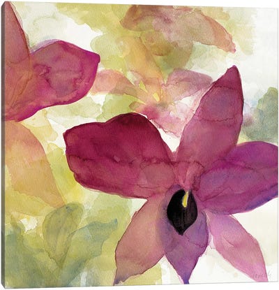 Beautiful and Peace Orchid II Canvas Art Print - Orchid Art