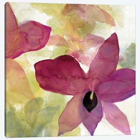 Beautiful and Peace Orchid II Canvas Print #LNL15} by Lanie Loreth Art Print