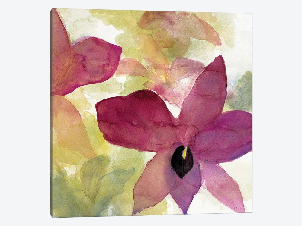 Beautiful and Peace Orchid II by Lanie Loreth 1-piece Canvas Art Print