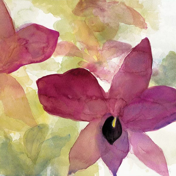 Orchids: Beautiful and Peace Orchid II by Lanie Loreth
