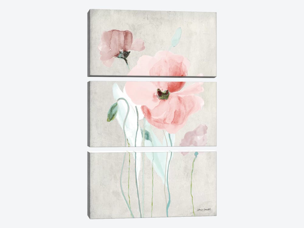 Soft Pink Poppies I by Lanie Loreth 3-piece Canvas Print