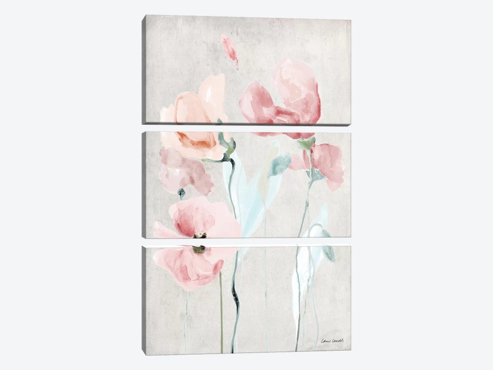 Soft Pink Poppies II by Lanie Loreth 3-piece Canvas Art Print