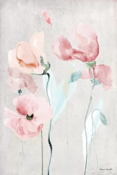 Soft Pink Poppies II