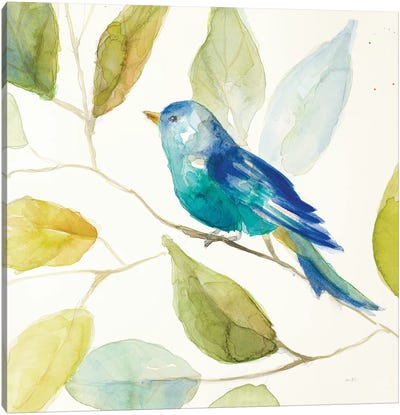 Bird in a Tree I Canvas Art Print - Lanie Loreth