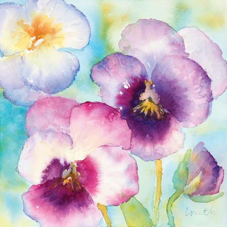 Sunny Side Orchids by Lanie Loreth wall art
