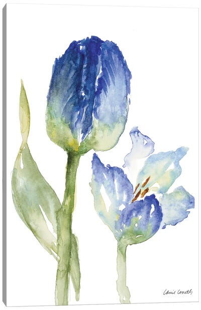 Teal and Lavender Tulips I Canvas Art Print - Lanie Loreth