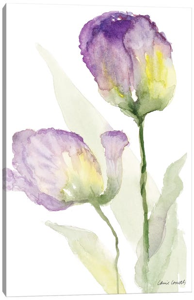 Teal and Lavender Tulips II Canvas Art Print - Tulip Art