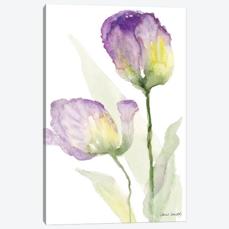 Teal and Lavender Tulips II Canvas Print #LNL208} by Lanie Loreth Art Print