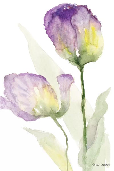 Teal and Lavender Tulips II
