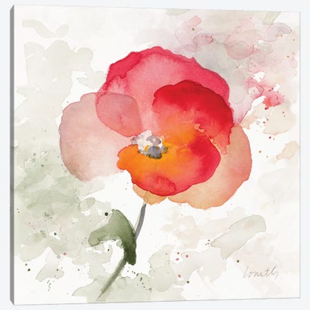 Translucent Poppy I Canvas Print #LNL214} by Lanie Loreth Art Print