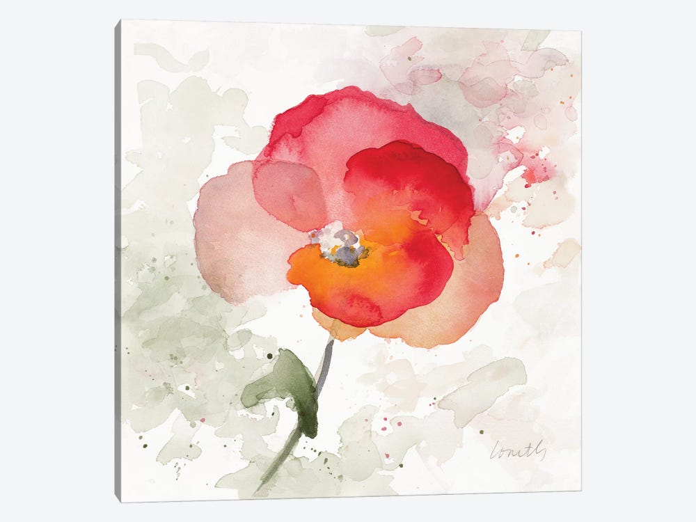 Translucent Poppy I by Lanie Loreth 1-piece Canvas Wall Art