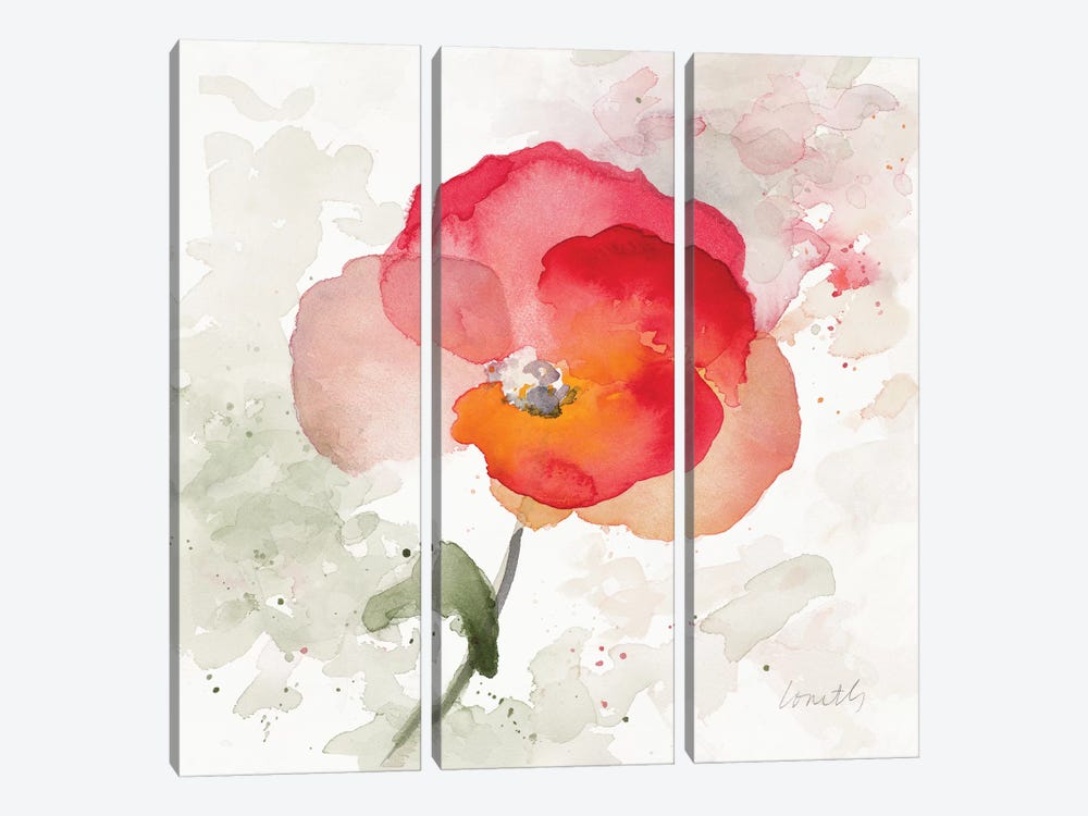 Translucent Poppy I by Lanie Loreth 3-piece Canvas Artwork