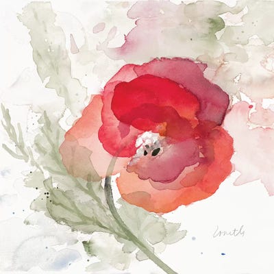 Translucent Poppy II by Lanie Loreth canvas print