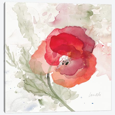 Translucent Poppy II Canvas Print #LNL215} by Lanie Loreth Art Print