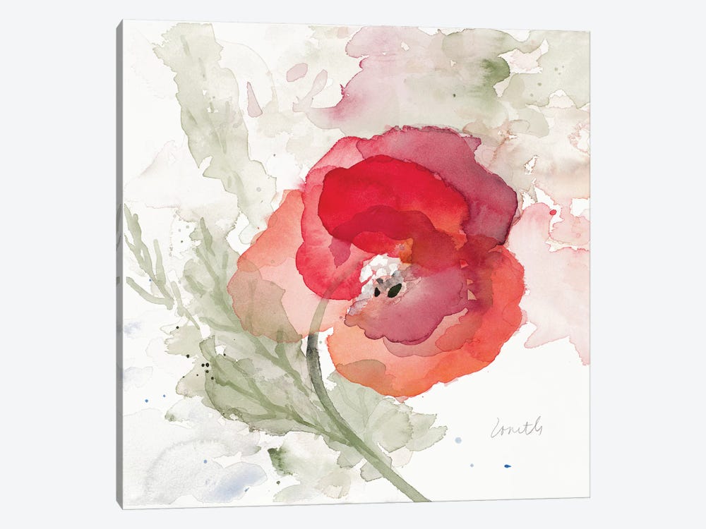 Translucent Poppy II by Lanie Loreth 1-piece Canvas Art Print