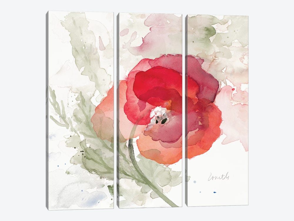 Translucent Poppy II by Lanie Loreth 3-piece Canvas Art Print