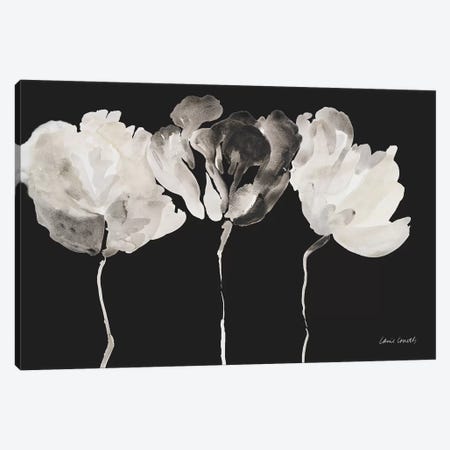 Trio in Light on Black Canvas Print #LNL220} by Lanie Loreth Canvas Print