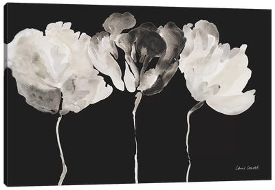 Trio in Light on Black Canvas Art Print - Lanie Loreth