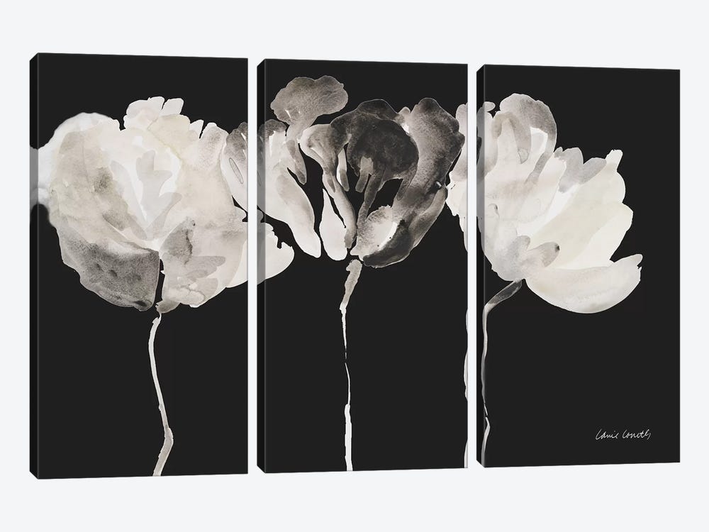 Trio in Light on Black by Lanie Loreth 3-piece Canvas Art Print