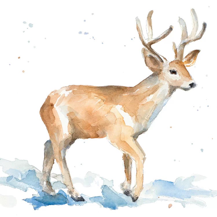 Watercolor Deer Canvas Art Print By Lanie Loreth | Icanvas