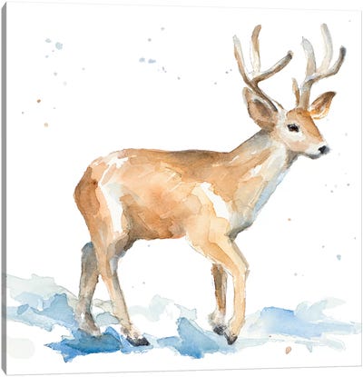 Watercolor Deer Canvas Art Print - Lanie Loreth
