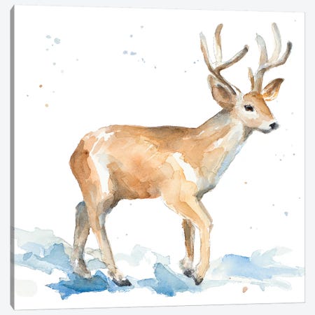 Watercolor Deer Canvas Print #LNL231} by Lanie Loreth Canvas Artwork