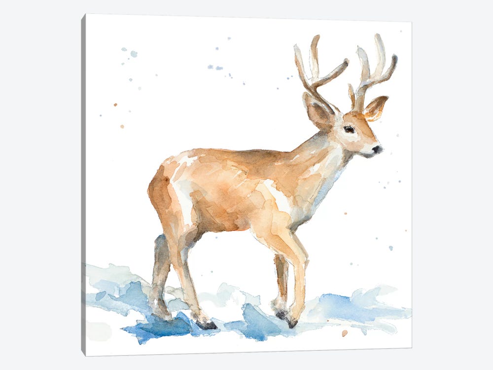 Watercolor Deer by Lanie Loreth 1-piece Canvas Print
