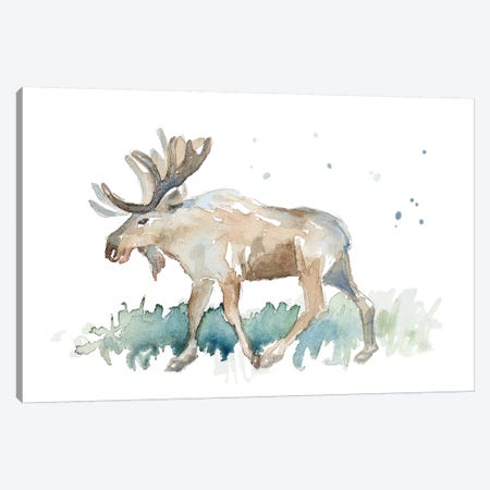Watercolor Moose Canvas Print #LNL234} by Lanie Loreth Art Print