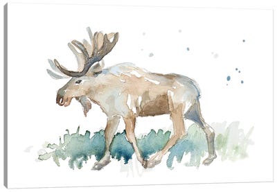 Watercolor Moose Canvas Art Print - Moose Art