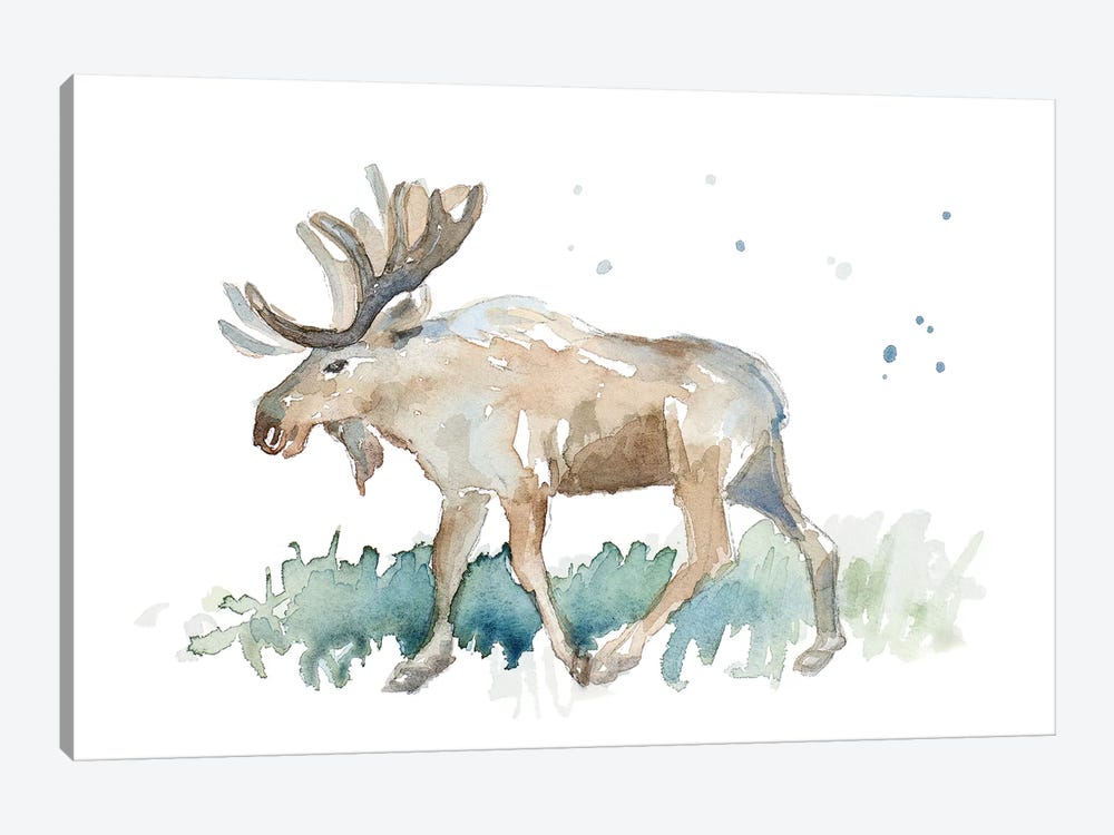 Watercolor Moose by Lanie Loreth 1-piece Canvas Art