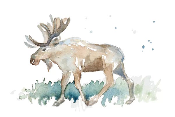 Moose: Watercolor Moose by Lanie Loreth
