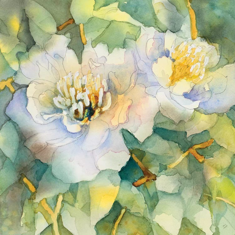 White Peony Garden by Lanie Loreth wall art