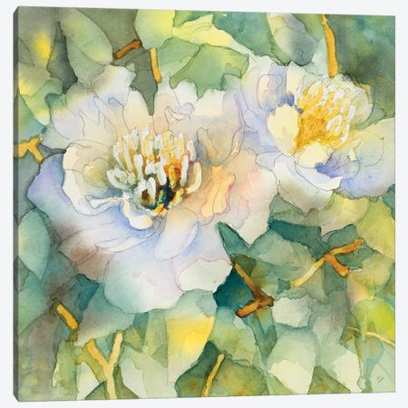 White Peony Garden Canvas Print #LNL237} by Lanie Loreth Canvas Print
