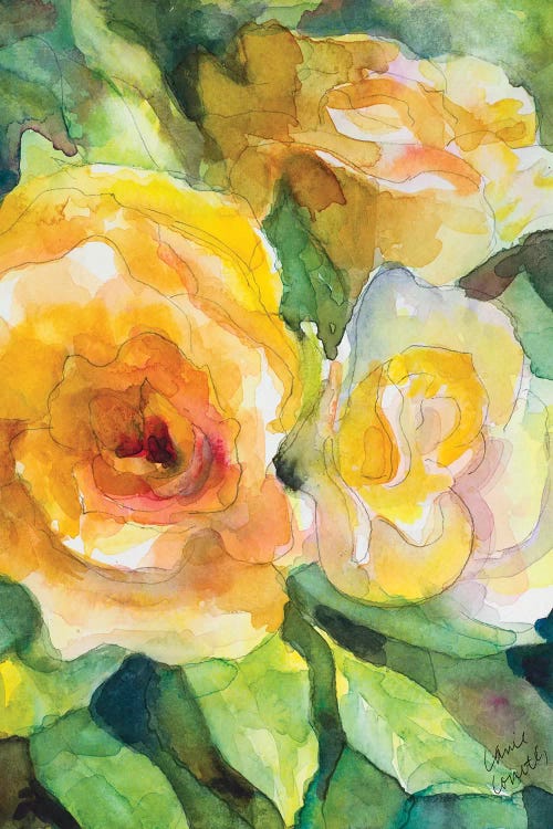 Yellow Roses Garden