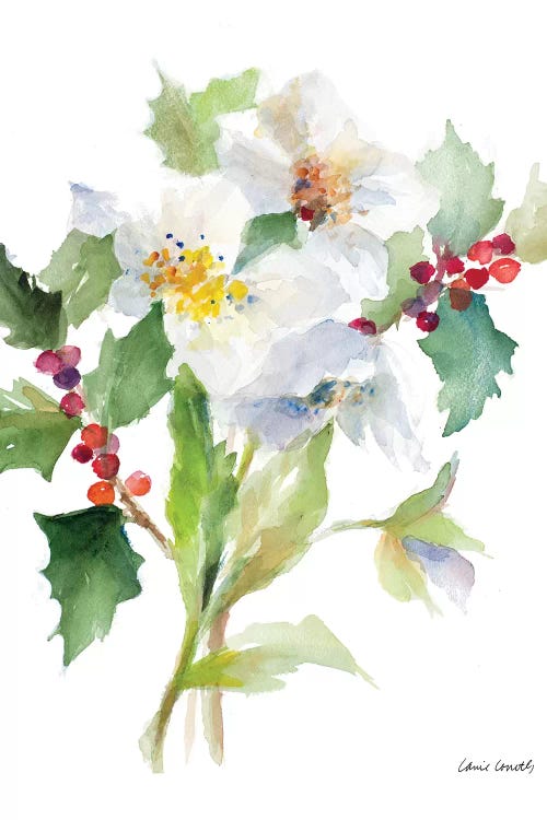 Christmas Bouquet II by Lanie Loreth wall art