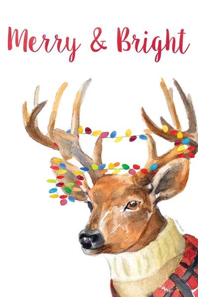 Christmas Animals: Merry and Bright Reindeer by Lanie Loreth