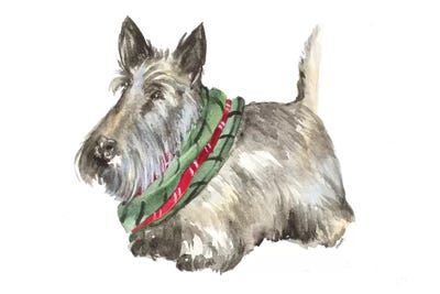 Black Scotty by Lanie Loreth canvas print