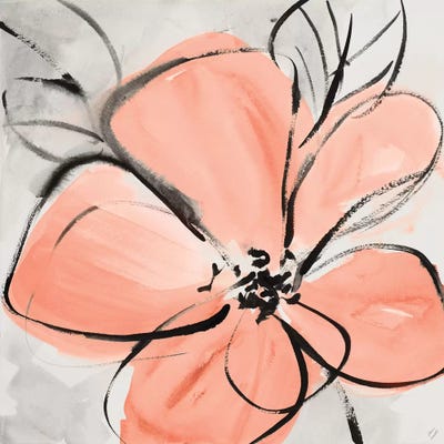 Cafe Rose III by Lanie Loreth canvas print