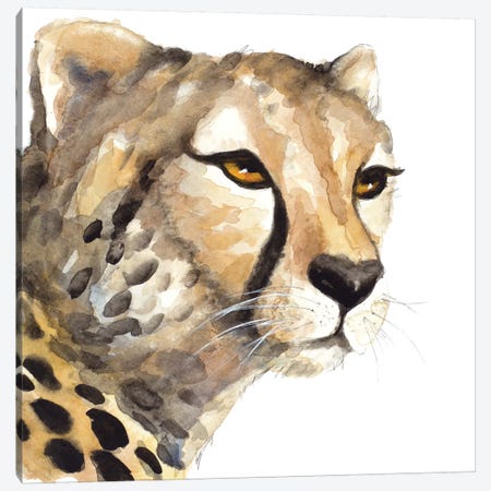 Cheetah Portrait Canvas Print #LNL295} by Lanie Loreth Canvas Art Print