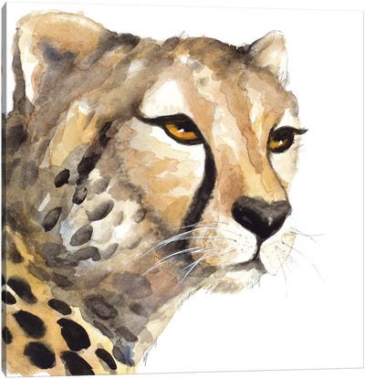 Cheetah Portrait Canvas Art Print - Cheetah Art