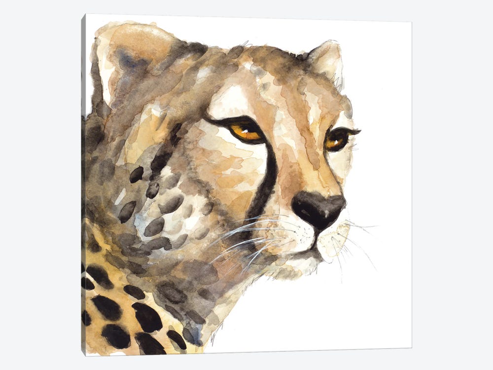 Cheetah Portrait by Lanie Loreth 1-piece Canvas Art Print