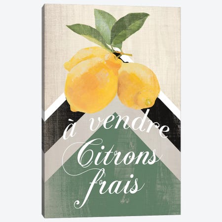 Citron Frais Canvas Print #LNL306} by Lanie Loreth Canvas Print