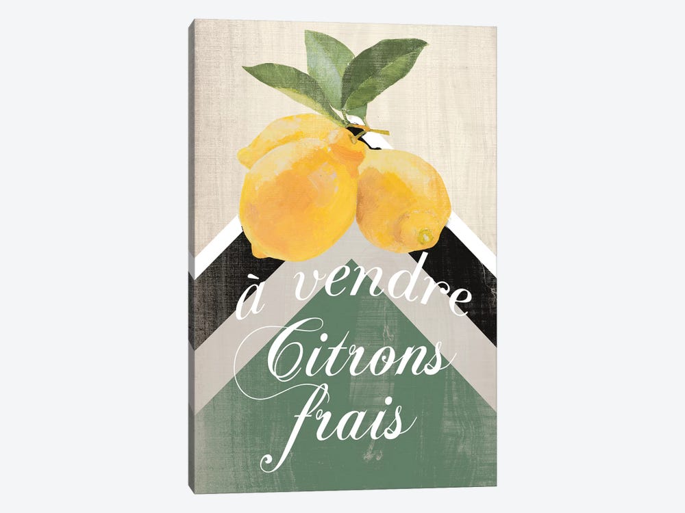 Citron Frais by Lanie Loreth 1-piece Canvas Wall Art
